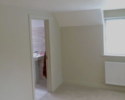 Plaster and Decoration
